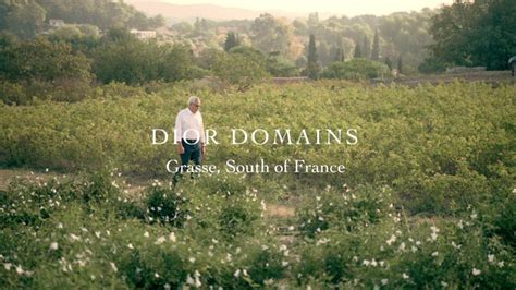 christian dior grasse|GRASSE, THE CRADLE OF PERFUMERY .